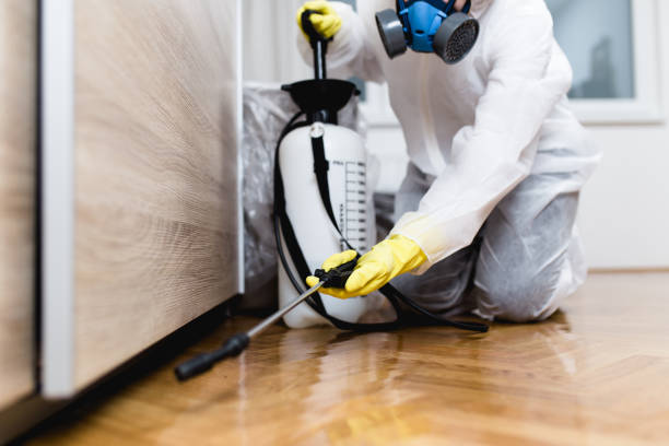 Best Affordable Pest Control Services  in Vienna Bend, LA