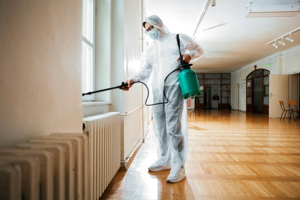 Best Best Pest Control Companies  in Vienna Bend, LA